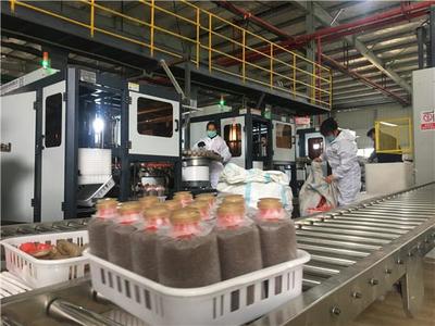 不負(fù)春光抓防疫保生產(chǎn)，關(guān)嶺食用菌產(chǎn)業(yè)馬力全開(kāi)